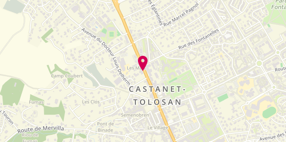 Plan de Fuji Services, 38 Avenue Toulouse, 31320 Castanet-Tolosan
