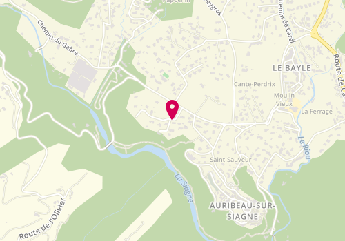 Plan de Ignot'elec, 67 chemin du Baou Traouca, 06810 Auribeau-sur-Siagne