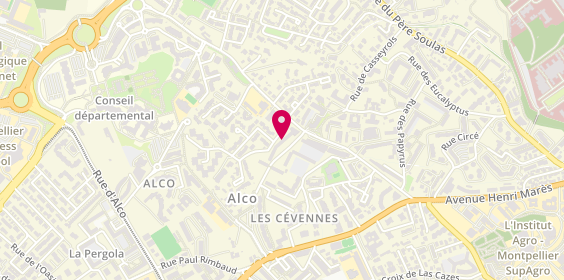Plan de JINANE Abdellah, 949 avenue Professeur Louis Ravas, 34080 Montpellier