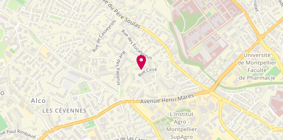 Plan de LOPEZ Christophe, 110 Rue Circé, 34090 Montpellier