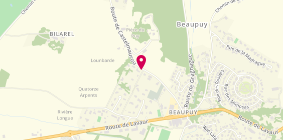Plan de Habitat Dépannages, 15 Castelmaurou, 31850 Beaupuy