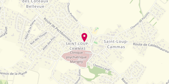 Plan de SAS Bouloc Cédric, 7 Rue Barrague Domaine la Plaine, 31140 Saint-Loup-Cammas