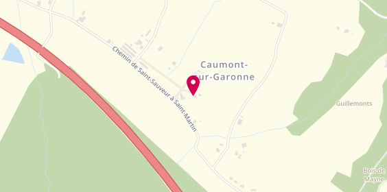 Plan de SCANDIUZZI Patrick, Vidaux, 47430 Caumont-sur-Garonne