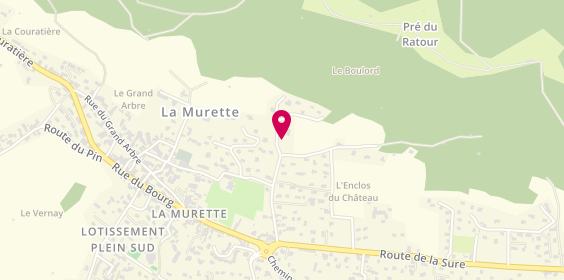 Plan de Home, 50 Mnt du Boulord, 38140 La Murette