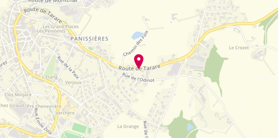 Plan de Chouzy Pagnon SAS, 960 Route Tarare, 42360 Panissières