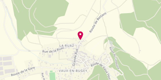 Plan de PEREYRON Philippe, 61 Route Bettant, 01150 Vaux-en-Bugey