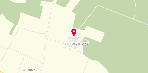 Plan de Texier Hugo, Le Bois Blanc
28 Rue des Grands-Champs, 17510 Fontaine-Chalendray