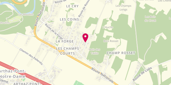 Plan de DELCOURT Olivier, 135 Route des Bois Rosset, 74380 Arthaz-Pont-Notre-Dame
