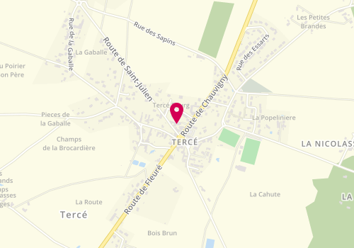 Plan de Guyon Services, 5 Route de Chauvigny, 86800 Tercé