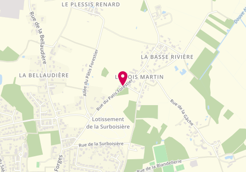 Plan de S.T.E.G, 29 Rue Patis Forestier, 44115 Haute-Goulaine