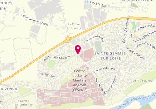 Plan de Viva Solar, 4 Rue du Stade Municipal, 49130 Sainte-Gemmes-sur-Loire