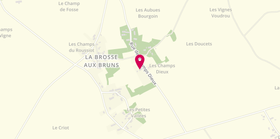 Plan de SARL Fabrice Morizet, 14 Chem. Des Champs Dieux, 58200 Alligny-Cosne