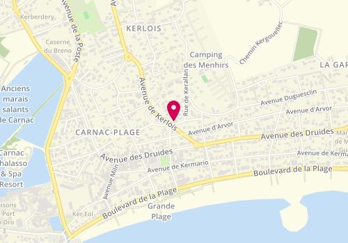 Plan de Fossard electricité, 1 Rue de Kerallan, 56340 Carnac
