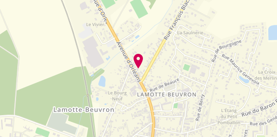 Plan de LEDUC Hervé, 13 Avenue d'Orléans, 41600 Lamotte-Beuvron
