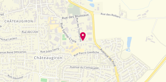 Plan de TROUFFLARD, 29 Rue Sainte-Croix, 35410 Châteaugiron