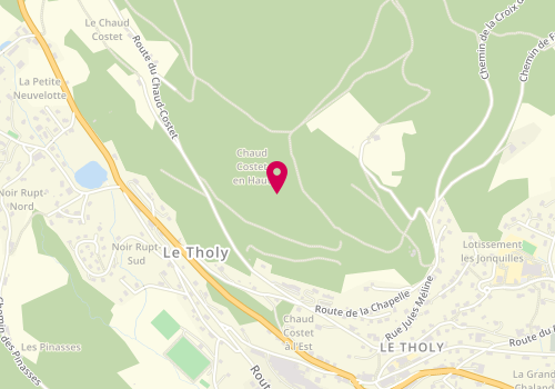 Plan de Thiebert Elec, 44 Route de Noirpre, 88530 Le Tholy