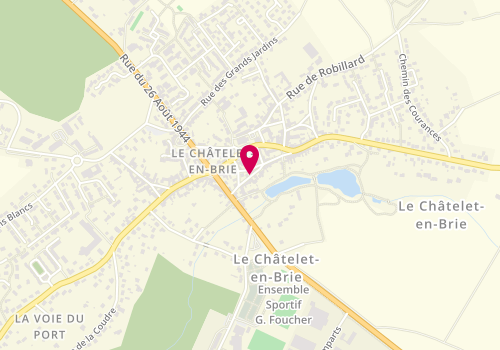 Plan de Egms, 14 Rue Dames de Poissy, 77820 Le Châtelet-en-Brie