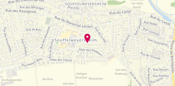 Plan de S.R.I, 21 Rue des Alouettes, 67460 Souffelweyersheim